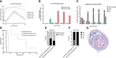 Chronic CD40L blockade is required for long-term cardiac allograft survival with a clinically relevant CTLA4-Ig dosing regimen